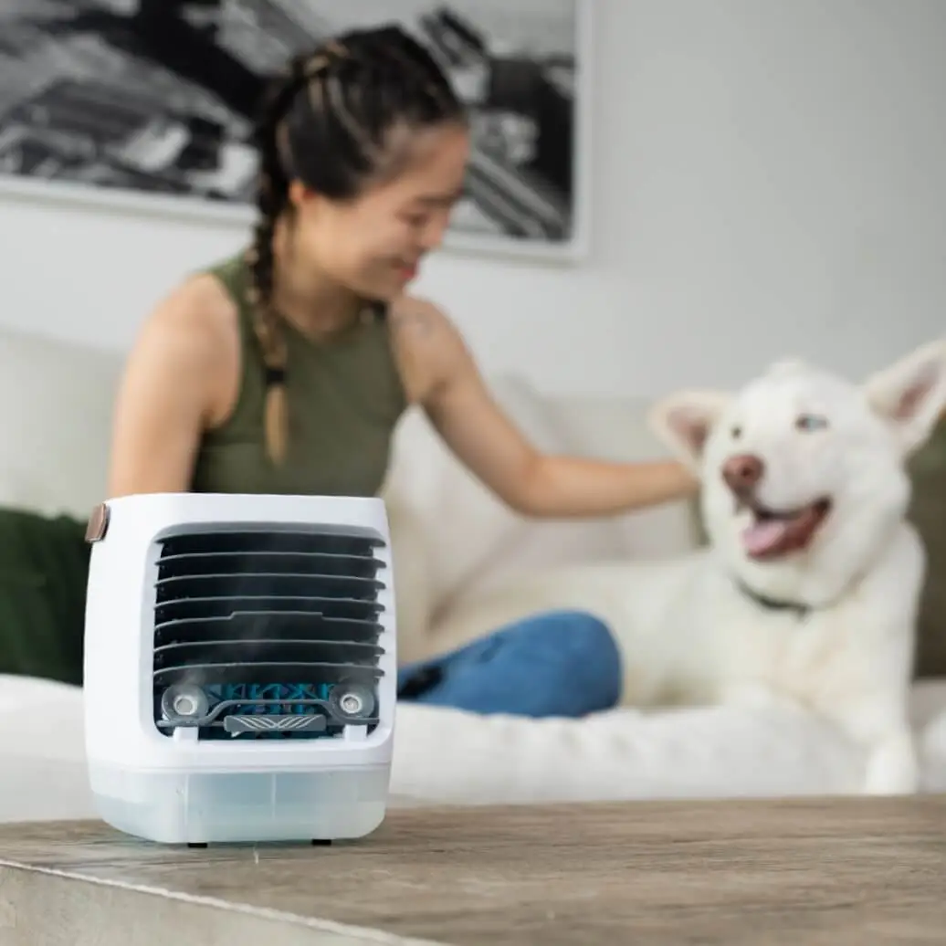 Summer Cooling Essential! - 2 pack